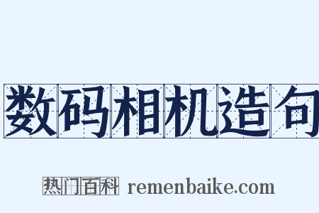 数码相机造句是什么意思的图片